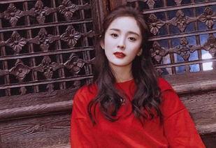 娱乐圈爆料吃瓜迪丽热巴,揭秘明星背后的真实故事  第2张