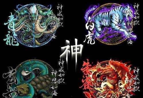 玄武四象大结局爆料视频,神秘终章揭秘,命运交织的巅峰对决 第3张 玄武四象大结局爆料视频,神秘终章揭秘,命运交织的巅峰对决 第3张