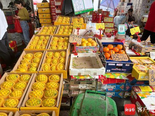 海南水果市场爆料案件最新,揭露背后利益链与食品安全危机