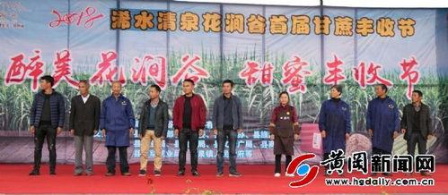 浠水二小爆料新闻报道,校园新闻背后的故事  第2张